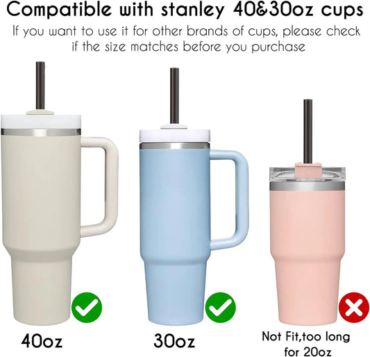 10PCS Reusable Black Straws